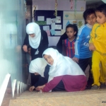 Organize Ascent and Descent Student Maeen Branch 2