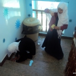 Organize Ascent and Descent Student Maeen Branch 4