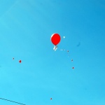 طلبة-فرع-التحرير-يطلقون-أمنياتهم-بالعام-الهجري-الجديد-14