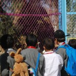 Arrasheed Schools Tahrir Branch Trip To The Zoo (17)