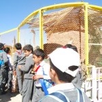 Arrasheed Schools Tahrir Branch Trip To The Zoo (18)
