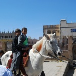 Arrasheed Schools Tahrir Branch Trip To The Zoo (24)