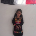 English Branch Celebration of the Independence 30 November  (9)