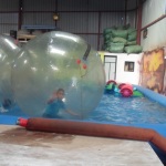 English Branch Trip to Crazy Park (46)