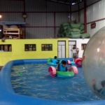 English Branch Trip to Crazy Park (90)