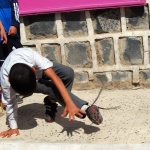 Finalists for the Talent Contest – Tahrir Branch (1)