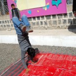 Finalists for the Talent Contest – Tahrir Branch (10)