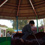 Trip to Fun Fair at tourist city  (34)
