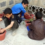planted saplings in Haddah Branch (1)
