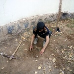 planted saplings in Haddah Branch (3)