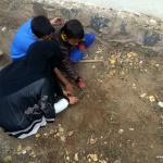 planted saplings in Haddah Branch (4)