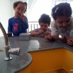 أنشطة-متنوعة-لتمهيدي-فرع-الإنجليزي-19-1024×768