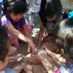 أنشطة-متنوعة-لتمهيدي-فرع-التحرير-21-1024×686