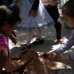 أنشطة-متنوعة-لتمهيدي-فرع-التحرير-6-1024×686