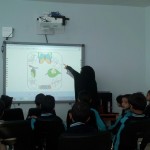 درس-نموذجي-Life-Cycles-of-Animals-10-768×1024