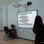 درس-نموذجي-Life-Cycles-of-Animals-22-1024×768