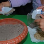 يوم-الزراعة-بتمهيدي-فرع-التحرير-28-1024×686