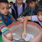 يوم-الزراعة-بتمهيدي-فرع-التحرير-31-1024×686