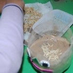 يوم-الزراعة-بتمهيدي-فرع-التحرير-33-1024×686