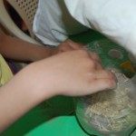 يوم-الزراعة-بتمهيدي-فرع-التحرير-34-1024×686