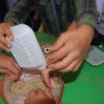 يوم-الزراعة-بتمهيدي-فرع-التحرير-35-1024×686