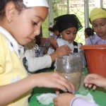 يوم-الزراعة-بتمهيدي-فرع-التحرير-37-1024×686