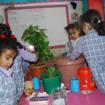 يوم-الزراعة-بتمهيدي-فرع-التحرير-43-1024×686