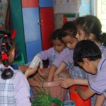 يوم-الزراعة-بتمهيدي-فرع-التحرير-46-1024×686