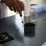 تجربة معملية كيف تساعد الأحماض في نمو النبات – مدارس الرشيد الحديثة – فرع الإنجليزي (1)