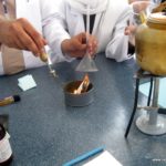 تجربة معملية كيف تساعد الأحماض في نمو النبات – مدارس الرشيد الحديثة – فرع الإنجليزي (6)