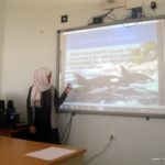 العروض التقديمية – مدارس الرشيد الحديثة – فرع الإنجليزي (8)