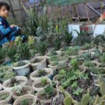 رحلة طلبة مدارس الرشيد الحديثة فرع الإنجليزي إلى مشتل السبعين (11)