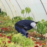 رحلة طلبة مدارس الرشيد الحديثة فرع الإنجليزي إلى مشتل السبعين (5)