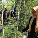 رحلة طلبة مدارس الرشيد الحديثة فرع الإنجليزي إلى مشتل السبعين (6)