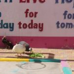 مخيم مدرسي في اختتام أنشطة التمهيدي – مدارس الرشيد الحديثة (14)