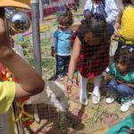 مخيم مدرسي في اختتام أنشطة التمهيدي – مدارس الرشيد الحديثة (19)